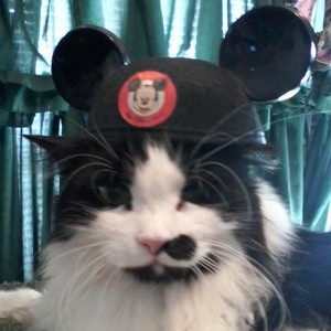 Team Page: Animal Lovers!